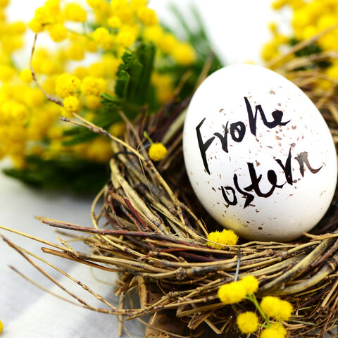 Wir haben tolle Ideen für eure Osterferien. Osternest mit Osterei